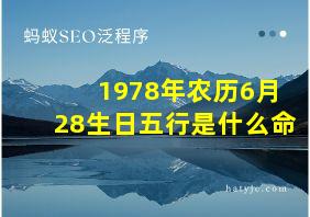 1978年农历6月28生日五行是什么命