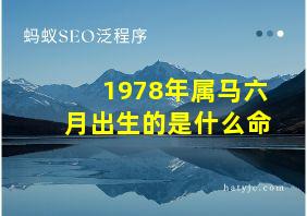 1978年属马六月出生的是什么命