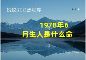 1978年6月生人是什么命