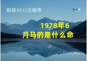 1978年6月马的是什么命