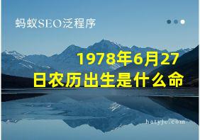 1978年6月27日农历出生是什么命