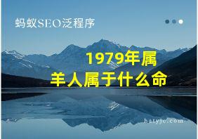 1979年属羊人属于什么命