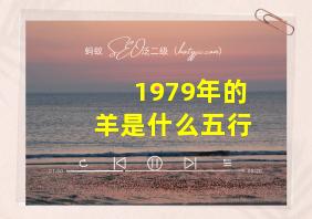 1979年的羊是什么五行