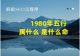 1980年五行属什么 是什么命