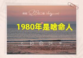 1980年是啥命人