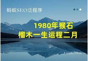 1980年猴石榴木一生运程二月