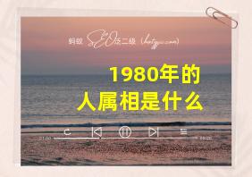 1980年的人属相是什么