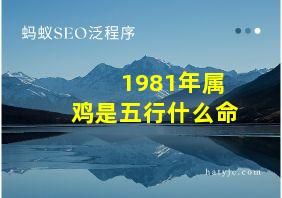 1981年属鸡是五行什么命