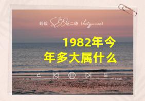 1982年今年多大属什么