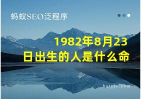 1982年8月23日出生的人是什么命