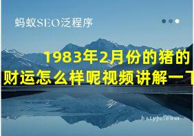 1983年2月份的猪的财运怎么样呢视频讲解一下