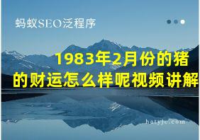 1983年2月份的猪的财运怎么样呢视频讲解