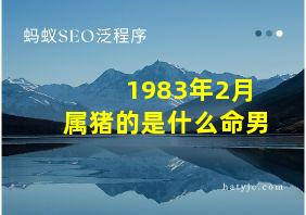 1983年2月属猪的是什么命男