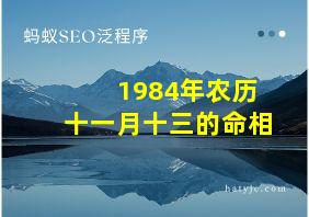 1984年农历十一月十三的命相