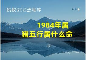 1984年属猪五行属什么命