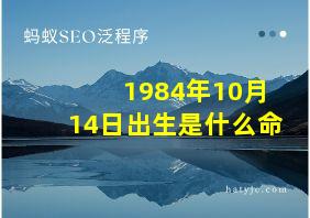 1984年10月14日出生是什么命