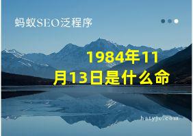 1984年11月13日是什么命