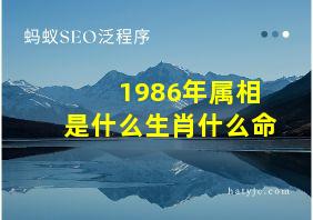 1986年属相是什么生肖什么命