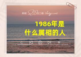 1986年是什么属相的人