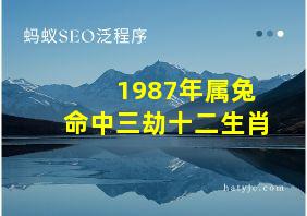 1987年属兔命中三劫十二生肖