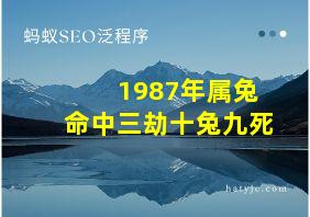 1987年属兔命中三劫十兔九死