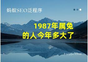 1987年属兔的人今年多大了