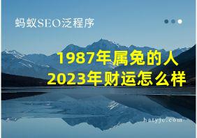 1987年属兔的人2023年财运怎么样