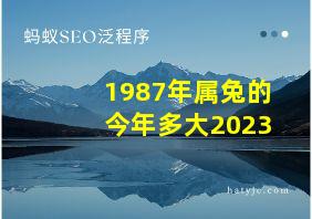 1987年属兔的今年多大2023