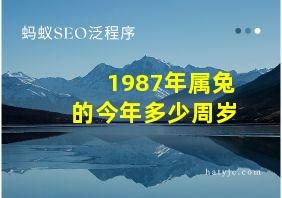 1987年属兔的今年多少周岁