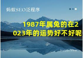 1987年属兔的在2023年的运势好不好呢