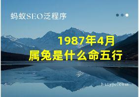 1987年4月属兔是什么命五行