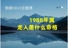 1988年属龙人是什么命格