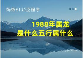 1988年属龙是什么五行属什么