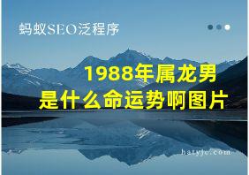 1988年属龙男是什么命运势啊图片