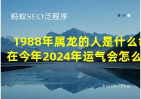 1988年属龙的人是什么命在今年2024年运气会怎么样