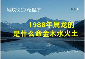 1988年属龙的是什么命金木水火土