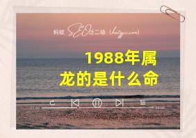 1988年属龙的是什么命