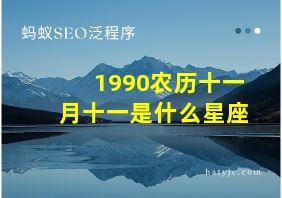 1990农历十一月十一是什么星座