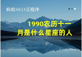 1990农历十一月是什么星座的人