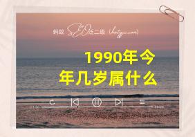 1990年今年几岁属什么