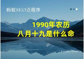 1990年农历八月十九是什么命