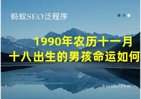 1990年农历十一月十八出生的男孩命运如何