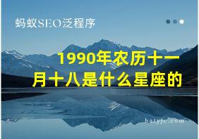 1990年农历十一月十八是什么星座的