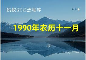 1990年农历十一月