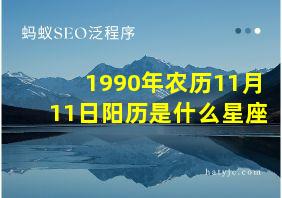 1990年农历11月11日阳历是什么星座