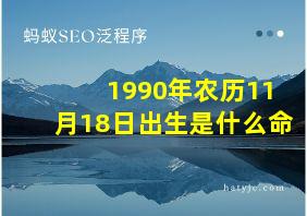 1990年农历11月18日出生是什么命