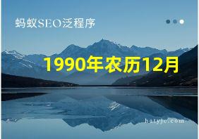 1990年农历12月