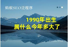 1990年出生属什么今年多大了