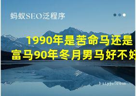 1990年是苦命马还是富马90年冬月男马好不好