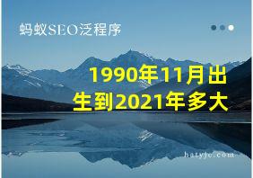 1990年11月出生到2021年多大